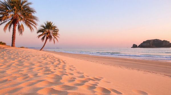 Découvrez le camping sable Viginier : un paradis entre mer et nature