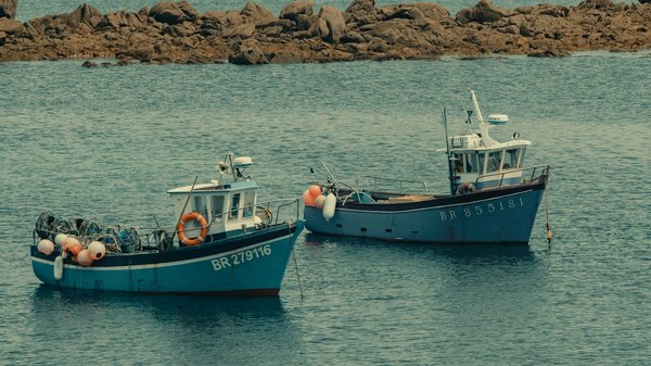 Où observer les traditions de la pêche au homard en Bretagne?